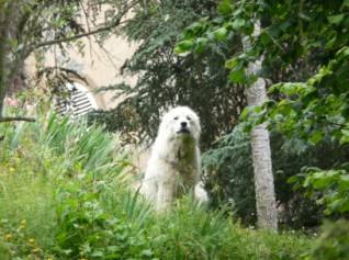 075 Villa La Pescigola was closed!