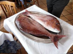 087 Lunch In Livorno